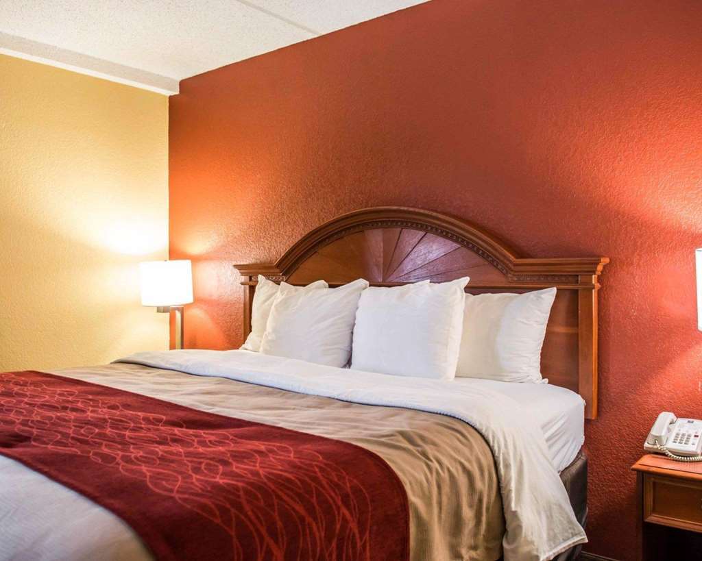Comfort Inn & Suites Panama City - St Andrew Room photo
